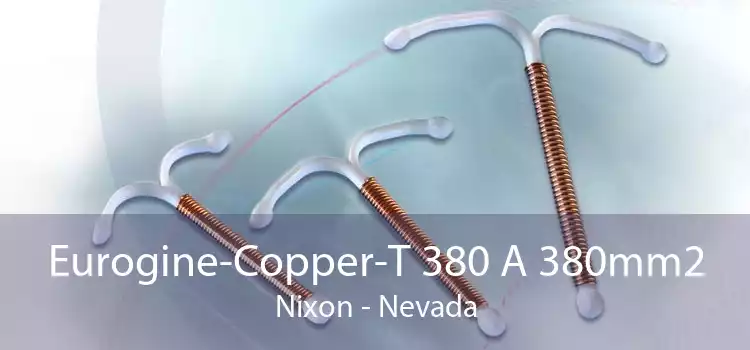 Eurogine-Copper-T 380 A 380mm2 Nixon - Nevada